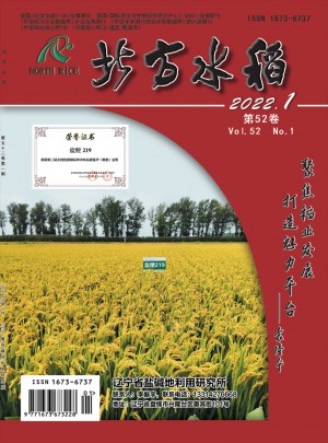 北方水稻杂志 