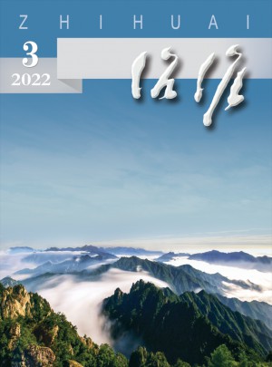 治淮杂志 