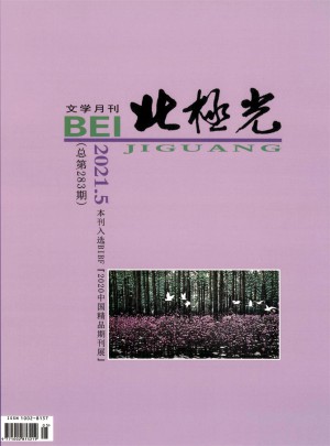北极光杂志 