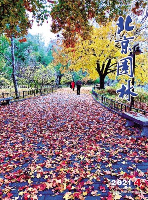 北京园林杂志 