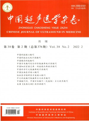 中国超声医学杂志 
