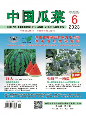 中国瓜菜杂志 