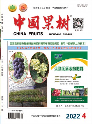 中国果树杂志 