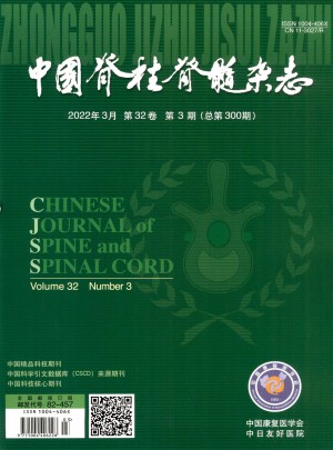 中国脊柱脊髓杂志 