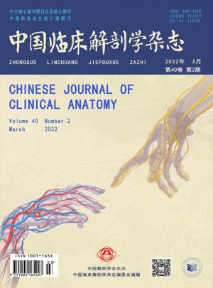 中国临床解剖学杂志 