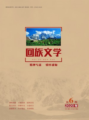 回族文学杂志 