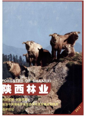 陕西林业杂志 