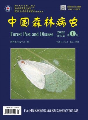 中国森林病虫杂志 