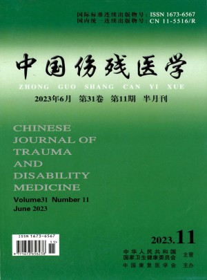 中国伤残医学杂志 