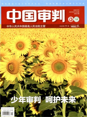 中国审判杂志 