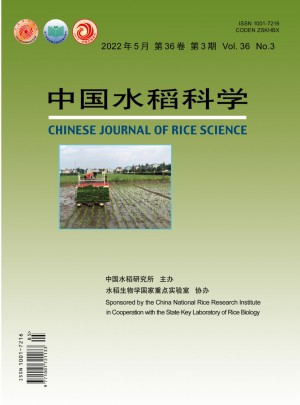 中国水稻科学杂志 