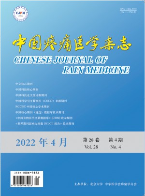 中国疼痛医学杂志 