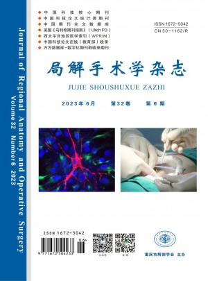 局解手术学杂志 