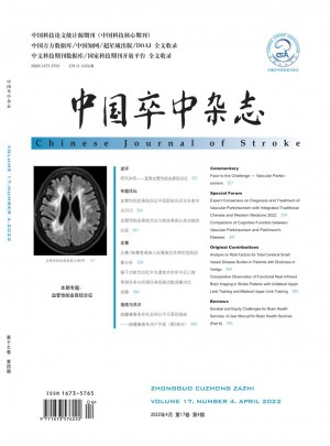 中国卒中杂志 