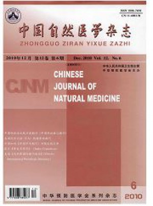 中国自然医学杂志 