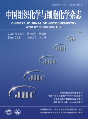 中国组织化学与细胞化学杂志 
