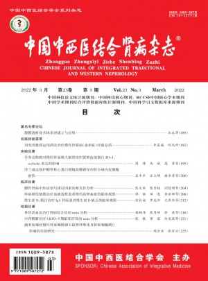 中国中西医结合肾病杂志 
