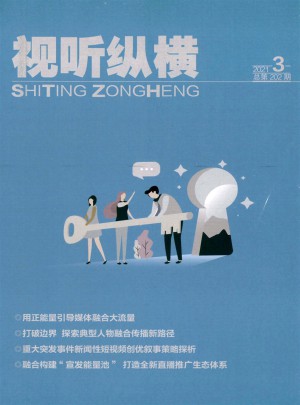 视听纵横杂志 