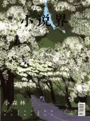 小说界杂志 