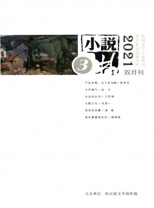 小说林杂志 