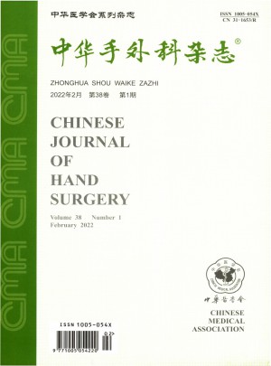 中华手外科杂志 