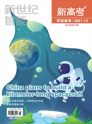 新世纪智能杂志 