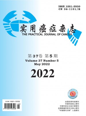 实用癌症杂志 