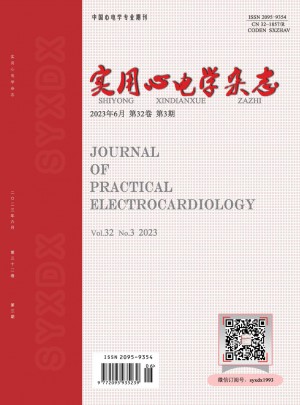 实用心电学杂志 