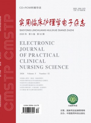 实用临床护理学电子杂志 