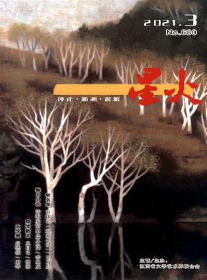 星火杂志 